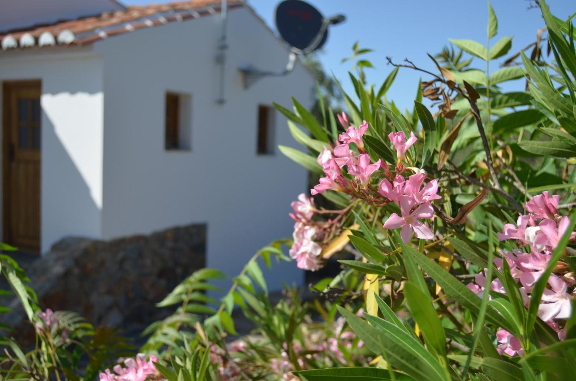 Willa Casa Do Passaro Galegos  Zewnętrze zdjęcie